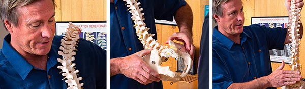 Chiropractor Taos NM Dr. Stanley Brown Patient Education