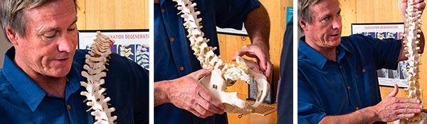 Chiropractor Taos NM Dr. Stanley Brown Patient Education